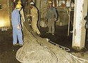 Schutznetz, flammhemmend ausgerüstet
