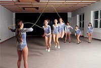Artikel 306-F3