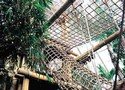 Netz Tunnel