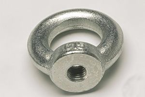 ring nut, equipment for safety nets