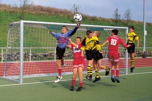 Goal net made of polypropylene