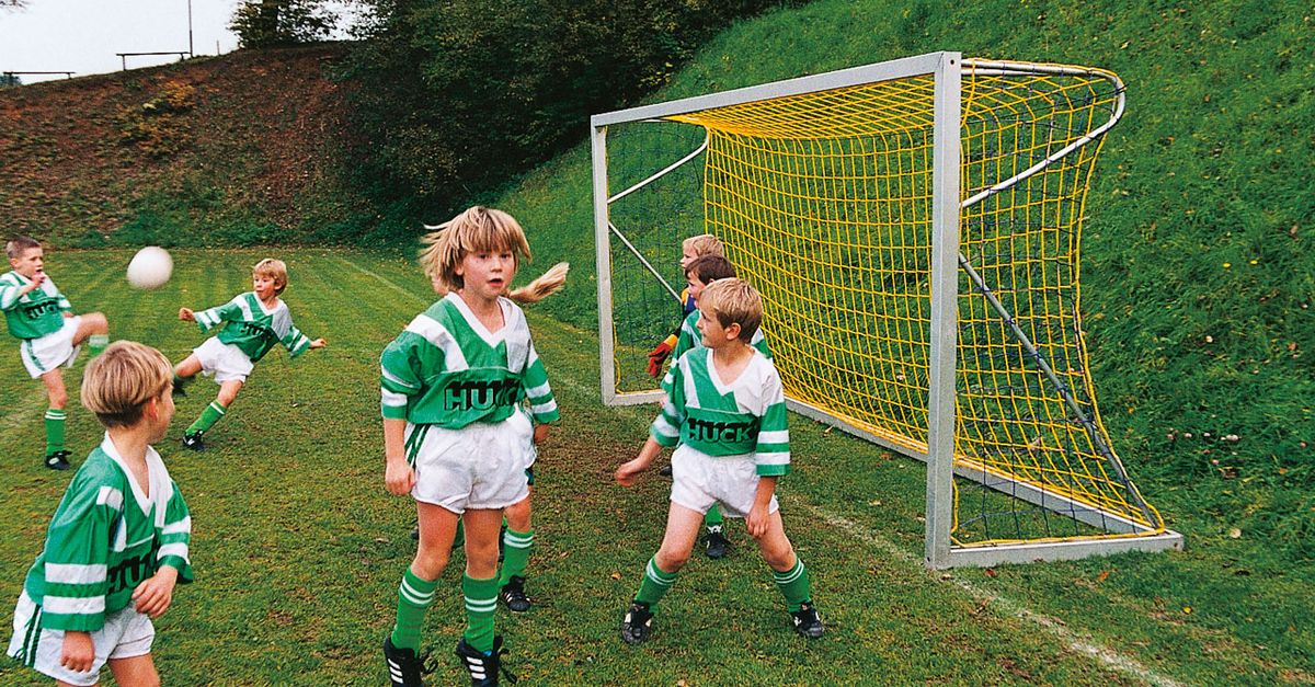Net Model Huck HUCK goal net, ø 4.0 mm - Made in Germany - Huck