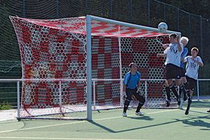 goal net made of polypropylene