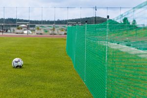 fence made of polyethylene