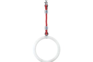 Gymnastics rings per piece with polypropylene multifilament hanging ropes