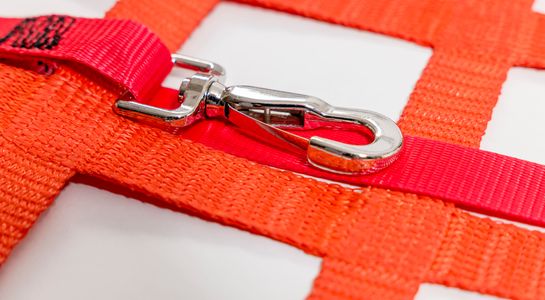 Rückbank-Ladungssicherungsnetz - Karabiner